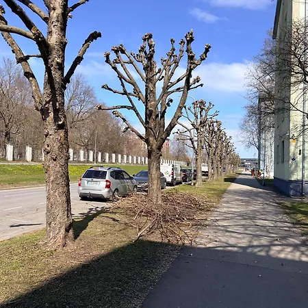 Close To The Appartement *